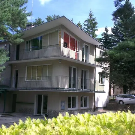 Jantar Jastrzębia Góra