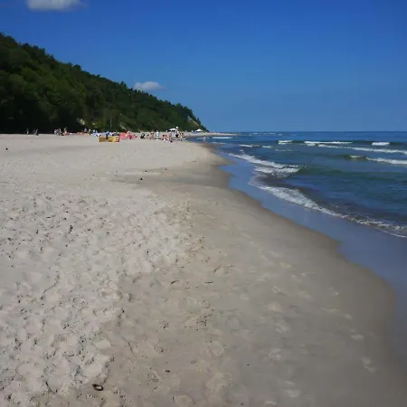 Jantar Pensjonat Jastrzębia Góra