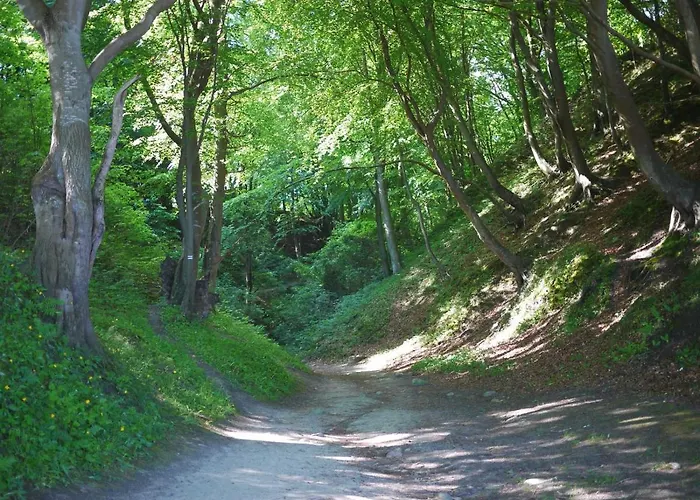 Jantar Gæstehus Jastrzębia Góra