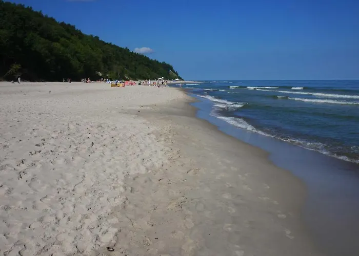 Jantar Gæstehus Jastrzębia Góra